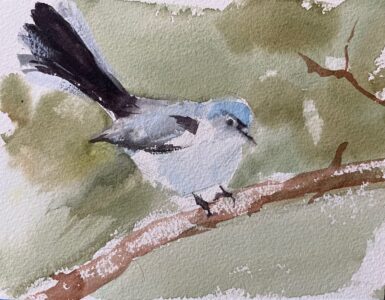 Watercolor on Arches watercolor paper Painting of a small bird with a black tail perched on a branch